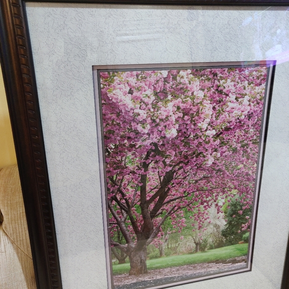 Framed Wall Cherry Blossom Poster 25 in x 31 in - Picture 3 of 4